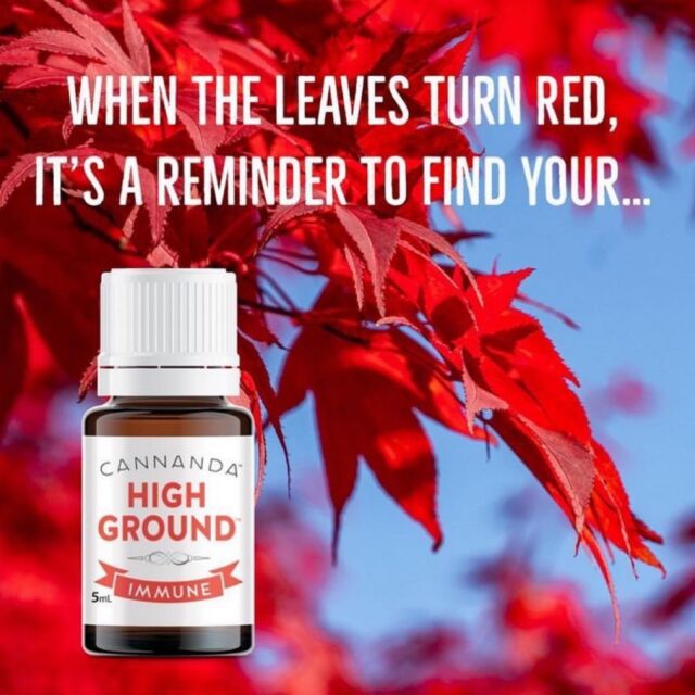 The High Ground advantage is real. 

This is your reminder 🍂🍁
Get into position. 

#HighGroundImmuneBlend
#HighGroundAdvantage