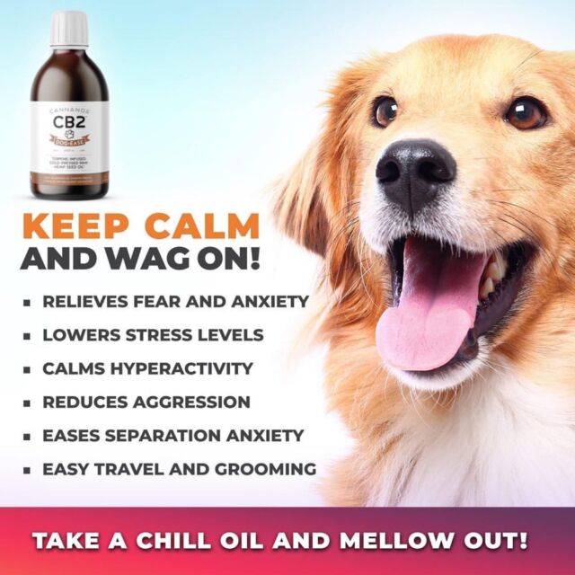 #DogEaseCB2 is a Health Canada approved "Veterinary Health Product" with the following APPROVED claims:
✅ may support joint health
✅ may help relieve stress
✅ may support a healthy immune system
✅ supports general health

Dogs LOVE the taste and parents/owners love how affordable it is and how quickly it works. 

Give it a try! You have nothing to lose with Cannanda’s no-hassle money-back guarantee 😊👍🏼