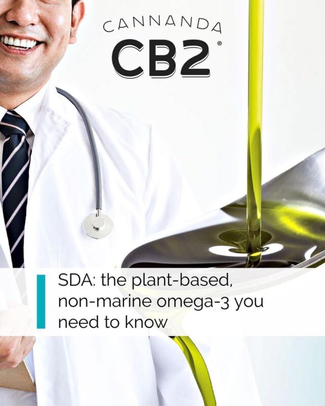 In addition to all the benefits #CannandaCB2 provides due to our award-winning CB2 terpene blend, #CB2hempseedoil is also considered one of the best non-marine omega-3 supplements available. 

Each tbs serving provides approximately 190 mg of SDA! Yes, that’s a big healthy dose!

#CannandaCB2 #CB2blend #CB2oil #CB2hempseedoil #CB2softgels 

DISCLAIMER: The info presented here is for #educational purposes only & not to be construed as #MedicalAdvice. It is not meant to diagnose or in any way replace qualified medical supervision. For any medical conditions, consult with your health care provider before using any products. As with all products, individual experiences may vary, and every product may not be for everyone.