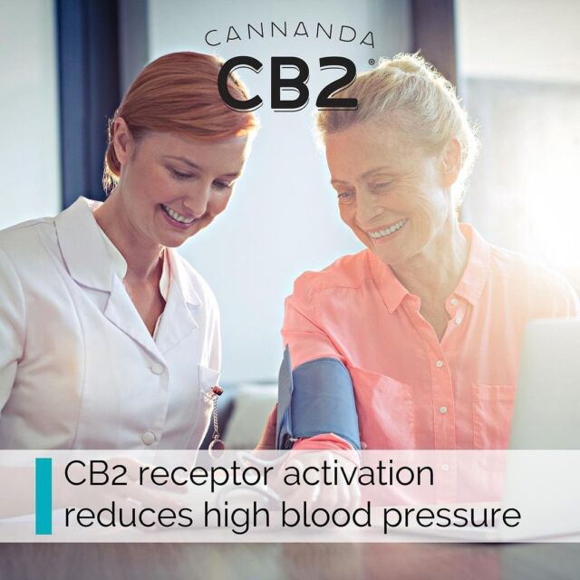 #CB2studies for #HighBloodPressure

Study summary:
This study aimed to find out if the CB2 receptor plays a role in lowering #BloodPressure in rats with high blood pressure. The researchers gave the rats a compound that activates the CB2 receptor and checked their blood pressure, #HeartRate, and activity in the nervous system that controls the #kidneys. They also checked the levels of certain chemicals in the rats' brains that cause #inflammation. The results showed that CB2 activation reduced the high blood pressure, heart rate, and nerve activity in the rats with high blood pressure, but not in healthy rats (i.e., didn’t reduce normal blood pressure). The study suggests that activating the CB2 receptor may help lower blood pressure by reducing inflammation in the brain.

#CannandaCB2 #CB2blend #CB2oil #CB2hempseedoil #CB2Wellness #CB2softgels 

DISCLAIMER: The info presented here is for #educational purposes only & not to be construed as #MedicalAdvice. It is not meant to diagnose or in any way replace qualified medical supervision. For any medical conditions, consult with your health care provider before using any products. As with all products, individual experiences may vary, and every product may not be for everyone.